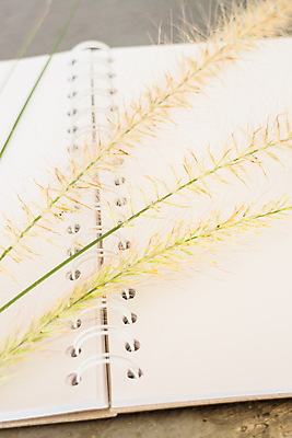 포토 JPG 해외이미지 계절 꽃 백그라운드 컨셉 비즈니스 자연 탁자 성공 휴식 아이디어 직장 사람없음 사무실 평화 공책 침묵 꿈 자유 수확 시골 업무 자신감 고독 작가 책상 명상 심플 그런지 해외202004 해외포토 식물 직업 감정 가구 농업 회사 문구용품 소리 작업 생태계 파일형식 이미지허브