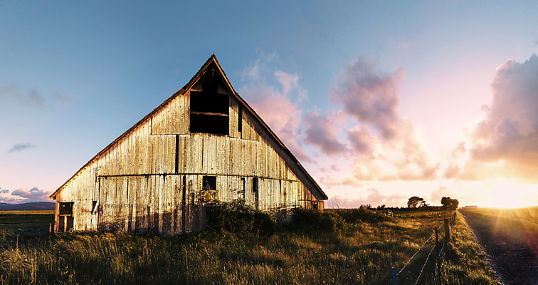 포토 JPG 해외이미지 외관 벽 백그라운드 밭 농업 건축양식 자연 하늘 주택 풍경 사람없음 야외 내부 건물 목재 여름 빛 햇빛 태양 농가 농장 문 목장 방 수확 골동품 광선 시골 땅 버리기 복고 캘리포니아 헛간 외양간 그런지 깨짐 밭일 썩음 옛날 판잣집 해외202004 해외포토 자연요소 나무 건축물 계절 건축 산업 컨셉 재료 모션 미국 생태계 저장고 파일형식 이미지허브