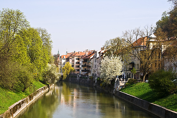 포토 JPG 해외이미지 나무 유럽 잎 건축양식 주택 사람없음 건물 초록색 물 강 도시풍경 봄 도시 타운 슬로베니아 해외202004 해외포토 자연요소 식물 건축물 계절 건축 나라 컬러 풍경 파일형식 이미지허브