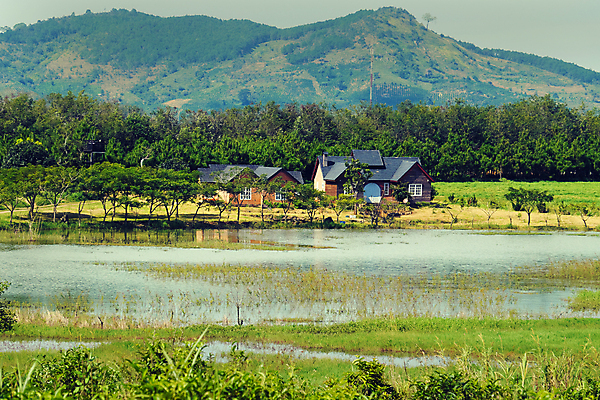 포토 JPG 해외이미지 나무 라이프스타일 호수 자연 산 주택 풍경 사람없음 초록색 물 강 평화 마을 환경 놀람 시골 숲 빌라 맨션 즐거움 만족 조경 베트남 장면 법원 내추럴 법정 해외202004 해외포토 자연요소 식물 감정 컬러 컨셉 표정 건물 생활 동남아시아 생태계 파일형식 이미지허브