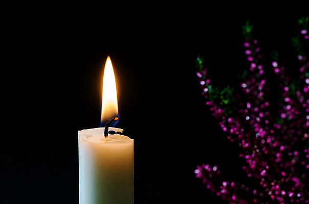 포토 JPG 해외이미지 1 계절 꽃 백그라운드 크리스마스 촛불 자연 추상 휴가 불꽃 사람없음 내부 장식 빛 컬러풀 우주 보라색 침묵 가을 소프트포커스 배열 싱글 애도 추수감사절 연소 장례식 화상 해외202004 해외포토 식물 기념일 기독교 컬러 무늬 초 불 촬영기법 소리 상처 생태계 파일형식 이미지허브