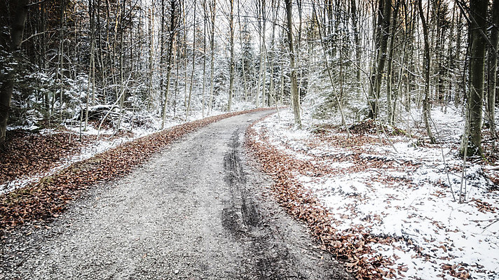 포토 JPG 해외이미지 나무 계절 공원 도로 길 여행 백그라운드 잎 2 겨울 자연 하늘 날씨 사람 풍경 사람없음 야외 빨간색 걷기 얼음 산책 추위 가을 흰색 시골 숲 11월 서리 장면 진흙 방법 눈내림 해외202004 해외포토 자연요소 식물 공공시설 컬러 교통시설 모션 휴식 눈_날씨 날짜 생태계 파일형식 이미지허브