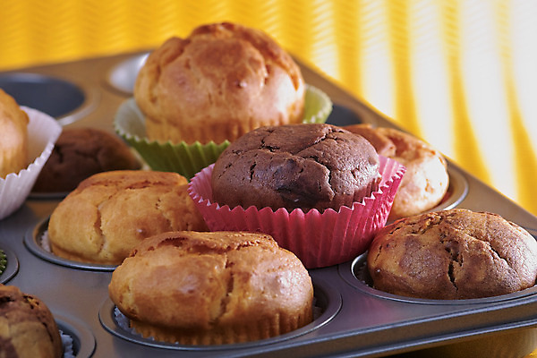 포토 JPG 해외이미지 디저트 병아리 사람없음 케이크 먹기 머핀 베이글 해외202004 해외포토 음식 빵 모션 조류 파일형식 이미지허브