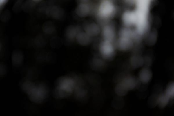 포토 JPG 해외이미지 백그라운드 크리스마스 패턴 추상 휴가 미술 사람없음 빛 컬러풀 노란색 파티 우주 검은색 흰색 화려 황금 야간 소프트포커스 질감 보케 먼지 블러 효과 해외202004 해외포토 자연요소 기념일 컬러 컨셉 무늬 문화예술 촬영기법 이벤트 파일형식 이미지허브