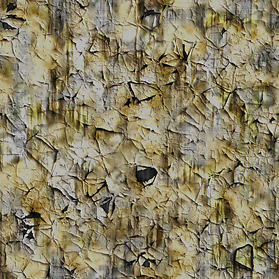 포토 JPG 해외이미지 종이 벽 백그라운드 지도 일러스트 벽지 날씨 추상 건조 미술 사람없음 책 갈색 노란색 디지털 소리 수확 골동품 흰색 붓 얼룩 구멍 가장자리 떨어짐 고민 질감 문서 먼지 섬유 층 파열 구김 그런지 옛날 원고 찰과상 노화 해외202004 해외포토 감정 컬러 컨셉 무늬 농업 모션 문화예술 직물 둘레 상처 파일형식 이미지허브