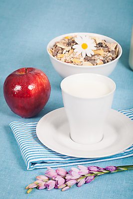 포토 JPG 해외이미지 열매 음료 다이어트 재료 유리 아침 건강 사람없음 컵 빨간색 파란색 식사 봄 우유 추위 흰색 신선 아침식사 사과 시리얼 데이지 산딸기 뮤즐리 해외202004 해외포토 주간 식물 식기 계절 꽃 음식 컬러 과일 재질 유제품 파일형식 이미지허브