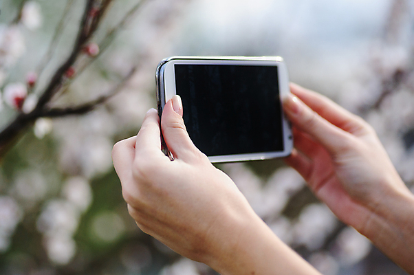 포토 JPG 해외이미지 모델 1 라이프스타일 손 응시 공원 여자 행복 포즈 자연 성공 모바일 사람 손짓 사람없음 야외 여름 스마트폰 핸드폰 금발 유행 평화 카메라 정원 사진촬영 봄 손상 엄지손가락 잡기 발사 사진사 사인 그림 셀프 해외202004 해외포토 헤어스타일 시선 계절 공공시설 감정 컨셉 손가락 모션 생활 신체부위 전자제품 스마트기기 촬영 작가 생태계 파일형식 이미지허브