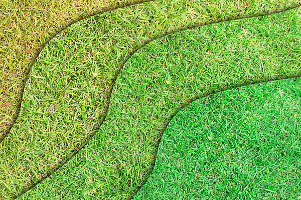 포토 JPG 해외이미지 식물 디자인 백그라운드 잎 패턴 일러스트 자연 미술 잔디 사람없음 그래픽 초록색 신선 업무 묘사 질감 층 내추럴 고립 스타일 해외202004 해외포토 컬러 무늬 문화예술 작업 생태계 파일형식 이미지허브