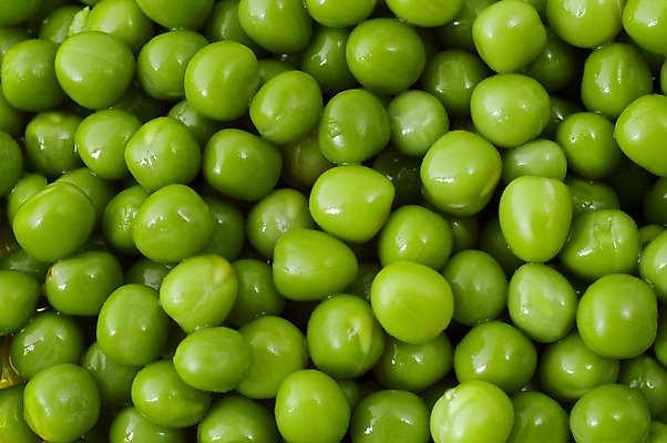 포토 JPG 해외이미지 음식 백그라운드 농업 다이어트 채소 재료 건강 육류 사람없음 초록색 샐러드 신선 맛 묘사 완두콩 날것 내추럴 고립 숙성 식용 채식주의자 해외202004 해외포토 산업 컬러 컨셉 식재료 콩 채식 파일형식 이미지허브