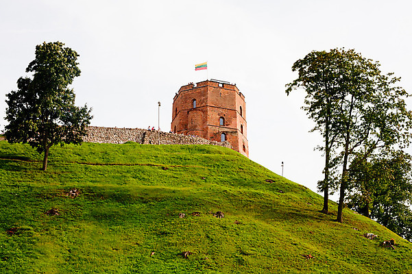 포토 JPG 해외이미지 나무 구름 벽 분홍색 건축양식 하늘 지붕 벽돌 사람없음 야외 건물 가로 빨간색 초록색 여름 파란색 울타리 갈색 탑 맑음 바위 흰색 깃발 역사 언덕 군용 리투아니아 해외202004 해외포토 자연요소 식물 건축물 계절 건축 유럽 컬러 날씨 군대 담장 돌_바위 파일형식 이미지허브