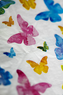 포토 JPG 해외이미지 식물 동물 템플릿 계절 꽃 나비 곤충 잎 밭 농업 자연 해바라기 새로움 3 사람없음 장식 초록색 빛 노란색 환경 정원 놀람 활발 성장 벚꽃 흰색 나뭇가지 신선 황금 소프트포커스 심플 우수 카피스페이스 해외202004 해외포토 나무 감정 산업 컬러 컨셉 촬영기법 표정 공백 절기 생태계 파일형식 이미지허브