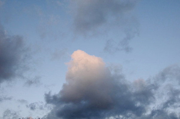 포토 JPG 해외이미지 구름 계절 백그라운드 자연 하늘 추상 사람없음 야외 여름 파란색 빛 햇빛 태양 우주 환경 맑음 흰색 분위기 천국 솜털 해외202004 해외포토 자연요소 컬러 컨셉 무늬 날씨 생태계 파일형식 이미지허브