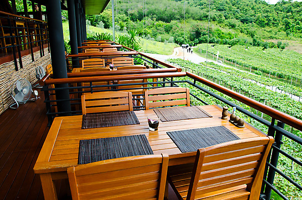 포토 JPG 해외이미지 나무 라이프스타일 접시 디자인 음료 음식 가구 의자 건축양식 유리 탁자 포도 호텔 바닥 실내 사람없음 내부 목재 장식 가로 초록색 갈색 파티 식당 식사 저녁식사 침묵 카페 흰색 램프 바 그룹 재산 고급 우아함 서비스 만족 포도밭 설정 스타일 해외202004 해외포토 식물 식기 건축 감정 컬러 생활용품 컨셉 밭 과일 재료 재질 숙소 조명 이벤트 생활 금융 상점 소리 파일형식 이미지허브