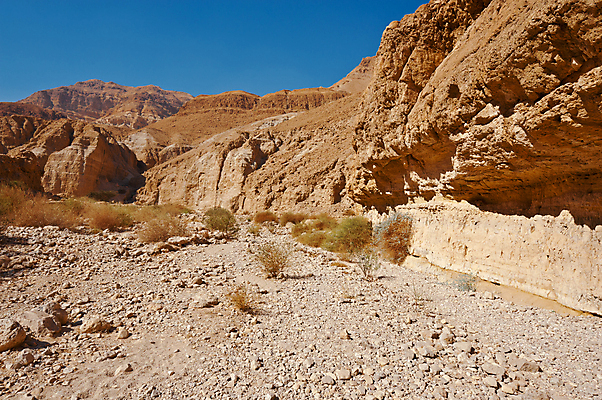 포토 JPG 해외이미지 식물 모래 여행 중동 자연 하늘 산 건조 그림자 풍경 사람없음 여름 파란색 햇빛 골짜기 사막 바위 시골 뜨거움 황무지 위험 그늘 땅 언덕 부식 산등성이 먼지 지역 땅바닥 생태학 이스라엘 팔레스타인 해외202004 해외포토 계절 교육 나라 컬러 컨셉 바닥 태양 돌_바위 생태계 서아시아 파일형식 이미지허브