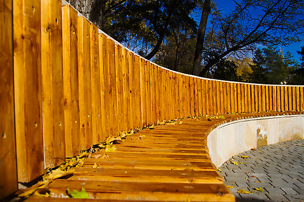 포토 JPG 해외이미지 나무 식물 공원 잎 벤치 의자 자연 새로움 사람없음 야외 목재 갈색 시골 해외202004 해외포토 공공시설 컬러 가구 컨셉 재료 생태계 파일형식 이미지허브