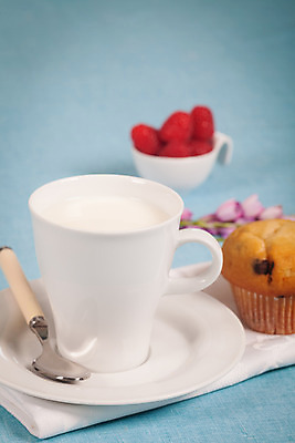 포토 JPG 해외이미지 열매 음료 음식 다이어트 재료 유리 아침 디저트 건강 사람없음 컵 파란색 초콜릿 식사 봄 우유 추위 흰색 신선 아침식사 컵케이크 산딸기 머핀 해외202004 해외포토 주간 식물 식기 계절 빵 컬러 과일 재질 유제품 케이크 파일형식 이미지허브