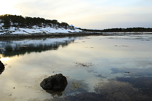 포토 JPG 해외이미지 식물 음식 바다 여행 백그라운드 자연 표면 추상 새로움 노르웨이 사람없음 야외 초록색 물 파란색 반사 갈색 노란색 바위 해조류 닫기 묘사 질감 장면 태평양 서식지 남쪽 내추럴 수경재배 해외202004 해외포토 자연요소 유럽 컬러 컨셉 무늬 모션 돌_바위 해양식물 방향 생태계 파일형식 이미지허브