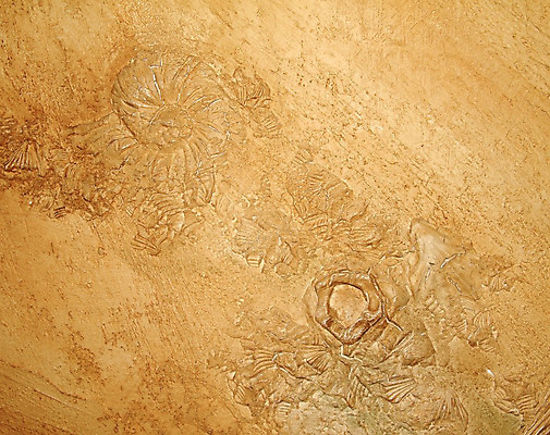 포토 JPG 해외이미지 백그라운드 자연 사람없음 야외 블록 수확 역사 공룡 석회암 해외202004 해외포토 농업 파충류 암석 생태계 파일형식 이미지허브