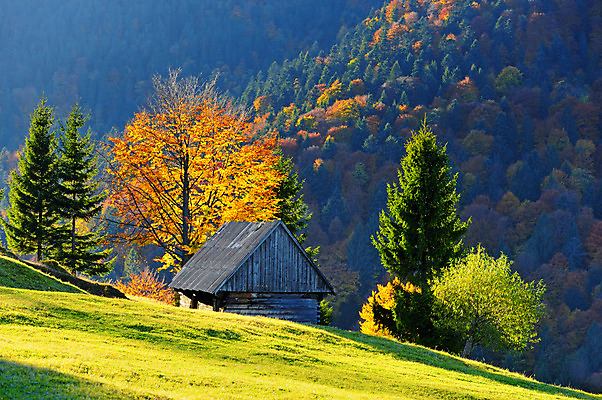 포토 JPG 해외이미지 나무 식물 구름 계절 공원 백그라운드 잎 오렌지 자연 하늘 아침 날씨 산 파노라마 풍경 사람없음 야외 목재 빛 햇빛 태양 노란색 일출 환경 정원 일몰 새벽 안개 가을 시골 신선 황금 볏짚 저녁 숲 내추럴 해외202004 해외포토 주간 자연요소 공공시설 컬러 과일 재료 촬영기법 노을 짚 야간 생태계 파일형식 이미지허브
