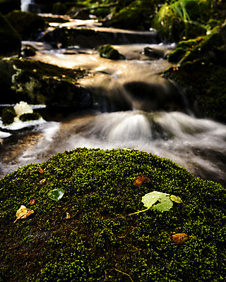 포토 JPG 해외이미지 유럽 자연 노르웨이 풍경 사람없음 물 개울 스칸디나비아 해외202004 해외포토 자연요소 나라 강 생태계 파일형식 이미지허브