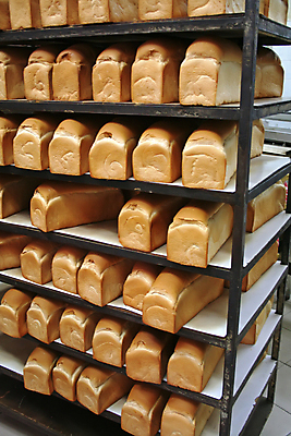 포토 JPG 해외이미지 공장 쟁반 실내 사람없음 식빵 저장 진열장 일렬 해외202004 해외포토 빵 공업 내부 파일형식 이미지허브