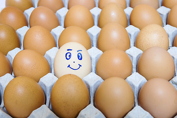 포토 JPG 해외이미지 동물 음식 백그라운드 컨셉 다이어트 재료 부분 자연 조류 부활절 아이디어 건강 요리 사람없음 농장 갈색 노란색 바구니 계란 치킨 성장 껍질 흰색 신선 얼룩 액체 그룹 아침식사 먹기 싱글 유기농 날것 칼로리 노른자 내추럴 판지 개발 고립 깨짐 단백질 등나무 생식 암탉 처음 취급주의 해외202004 해외포토 나무 웰빙 기념일 컬러 농업 모션 경고 알 식사 닭 암컷 생태계 닭고기요리 영양소 파일형식 이미지허브