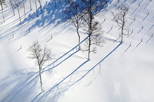 포토 JPG 해외이미지 나무 식물 구름 계절 공원 여행 백그라운드 크리스마스 겨울 자연 하늘 동화 날씨 휴가 조명 새로움 산 프레임 풍경 사람없음 야외 목재 햇빛 태양 환경 냉동 얼음 추위 덮개 흰색 정상 숲 연도 서리 전나무 눈보라 내추럴 산악지대 폭설 눈내림 해외202004 해외포토 자연요소 공공시설 기념일 컬러 컨셉 재료 눈_날씨 뚜껑 자연재해 생태계 파일형식 이미지허브