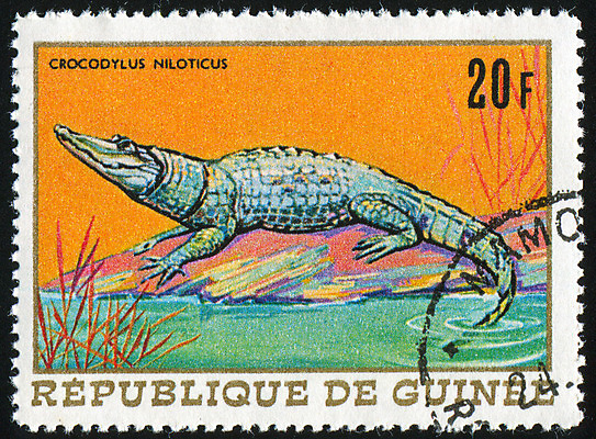 포토 JPG 해외이미지 동물 야생동물 신체 파충류 자연 봉투 사람없음 물 강 수확 골동품 바위 메시지 역사 덩굴 물개 편지 복고 꼬리 엽서 육식동물 악어 주둥이 우표 동물상 옛날 총구 해외202004 해외포토 자연요소 식물 농업 포유류 조형물 바다동물 돌_바위 생태계 파일형식 이미지허브