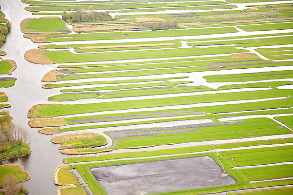 포토 JPG 해외이미지 유럽 백그라운드 패턴 밭 농업 자연 안테나 풍경 사람없음 야외 초록색 여름 농작물 농경지 환경 시골 땅 네덜란드 질감 장면 내추럴 땅바닥 밭일 세련 해외202004 해외포토 계절 나라 산업 컬러 무늬 통신 바닥 농장 생태계 파일형식 이미지허브