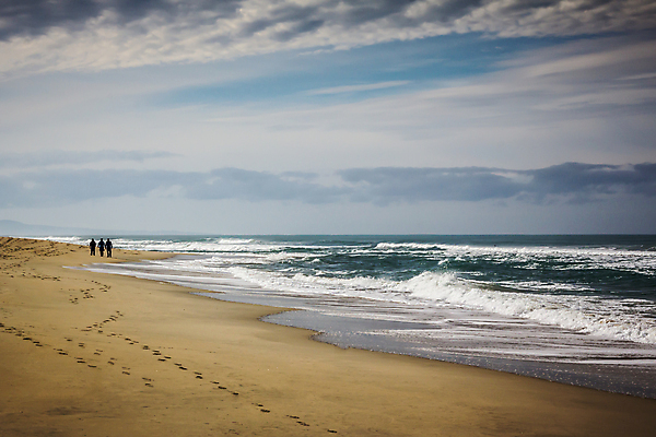 포토 JPG 해외이미지 남자 실루엣 모래 사람없음 물 걷기 서핑 태평양 해외202004 해외포토 자연요소 바다 모션 촬영기법 사람 수상스포츠 파일형식 이미지허브