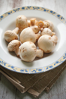 포토 JPG 해외이미지 접시 음식 재료 자연 사람없음 목재 버섯 가을 먹이 곰팡이 해외202004 해외포토 나무 식기 계절 생태계 파일형식 이미지허브