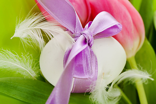 포토 JPG 해외이미지 식물 전통 디자인 계절 꽃 리본 꽃다발 백그라운드 잎 꽃무늬 자연 휴가 부활절 선물 사람없음 장식 초록색 빛 컬러풀 계란 보라색 축제 봄 튤립 벚꽃 껍질 흰색 축하 직물 신선 신용카드 고리 심볼 깃털 오브젝트 활 매듭 내추럴 해외202004 해외포토 기념일 컬러 컨셉 무늬 금융 알 생태계 파일형식 이미지허브