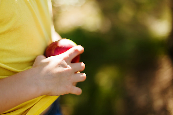 포토 JPG 해외이미지 백인 여자 어린이 음식 셔츠 밭 과일 가족 자연 건강 사람없음 야외 빨간색 노란색 맑음 수확 사과 과수원 청소 해외202004 해외포토 서양인 컬러 상의 농업 관계 날씨 사람 생태계 파일형식 이미지허브
