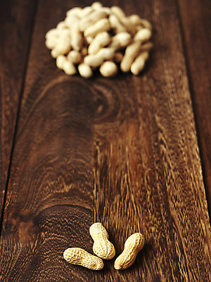 포토 JPG 해외이미지 사람없음 세로 비교 가난 땅콩 해외202004 해외포토 컨셉 견과류 파일형식 이미지허브