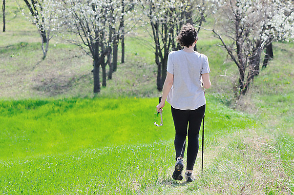 포토 JPG 해외이미지 나무 1 라이프스타일 공원 여자 도로 길 스포츠 여행 밭 자연 휴가 휴식 건강 사람 풍경 성인 사람없음 야외 목재 초록색 여행객 걷기 봄 산책 트래킹 하이킹 탐험 벚꽃 시골 오솔길 혼자 해외202004 해외포토 식물 계절 공공시설 꽃 컬러 컨셉 농업 재료 교통시설 모션 레저 생활 생태계 파일형식 이미지허브