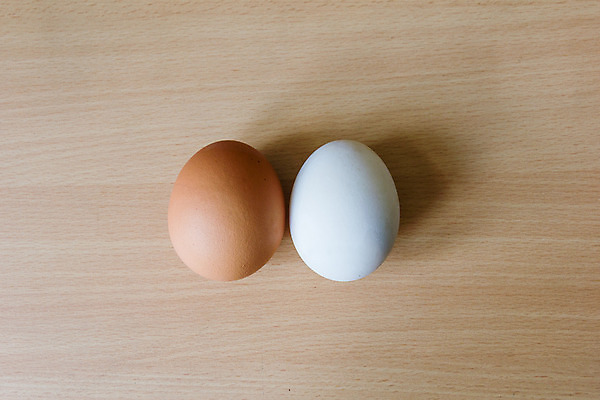 포토 JPG 해외이미지 음식 백그라운드 재료 오리 건강 요리 사람없음 농장 갈색 노란색 계란 치킨 껍질 흰색 신선 아침식사 먹기 유기농 날것 내추럴 단백질 해외202004 해외포토 웰빙 컬러 농업 모션 조류 알 식사 닭고기요리 영양소 파일형식 이미지허브