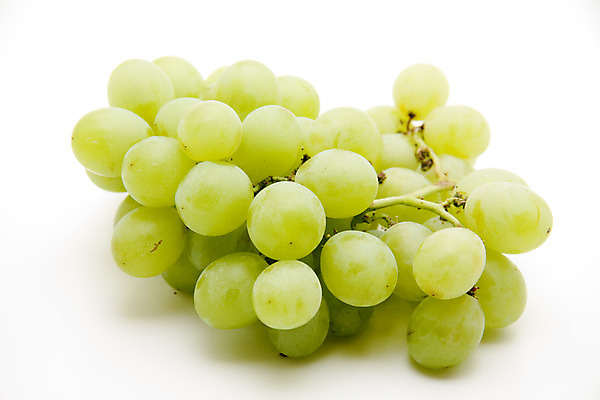 포토 JPG 해외이미지 음식 과일 포도 건강 사람없음 초록색 수확 나뭇가지 신선 맛 발사 먹기 흰배경 해외202004 해외포토 나무 컬러 백그라운드 컨셉 농업 모션 흰색 파일형식 이미지허브