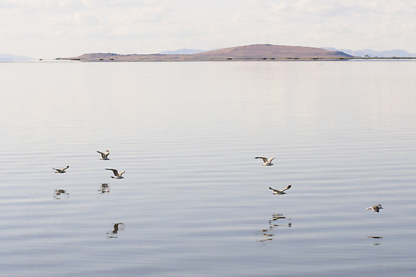 포토 JPG 해외이미지 호수 여행 이동 신체 날개 자연 조류 표면 산 풍경 사람없음 야외 물 평화 덮개 크루즈 잔물결 벤처기업 해외202004 해외포토 자연요소 동물 물결 컨셉 배_교통 비즈니스 뚜껑 생태계 파일형식 이미지허브