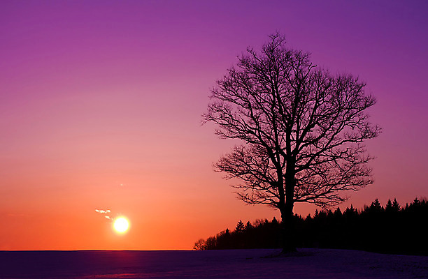 포토 JPG 해외이미지 나무 구름 1 실루엣 겨울 자연 하늘 추상 풍경 사람없음 야외 태양 노란색 보라색 냉동 어둠 침묵 황혼 일몰 추위 황무지 고독 야간 싱글 서리 장면 지역 혼자 수평선 해외202004 해외포토 자연요소 식물 계절 감정 컬러 무늬 촬영기법 노을 소리 생태계 파일형식 이미지허브