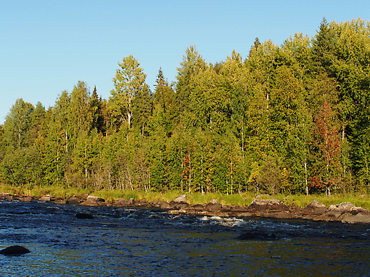 포토 JPG 해외이미지 나무 구름 영어 공원 호수 섬 자연 잉글랜드 주택 풍경 잔디 사람없음 옆모습 초록색 물 여름 강 정원 시골 숲 강가 땅 맨션 원예 러시아 조경 장면 흐림 전국 정중 해외202004 해외포토 자연요소 식물 문자 계절 공공시설 유럽 뷰포인트 컬러 컨셉 날씨 영국 취미 건물 생태계 파일형식 이미지허브
