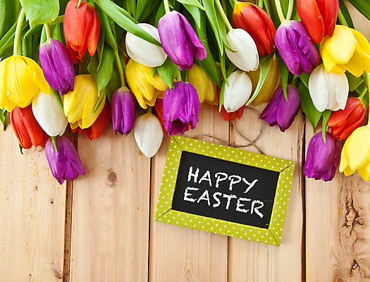 포토 JPG 해외이미지 꽃 꽃다발 백그라운드 부활절 발렌타인데이 선물 사랑 사람없음 목재 장식 가로 빨간색 컬러풀 칠판 봄 튤립 수확 시골 신선 생일 개화 카피스페이스 해외202004 해외포토 나무 식물 계절 기념일 감정 컬러 농업 재료 데이이벤트 공백 파일형식 이미지허브