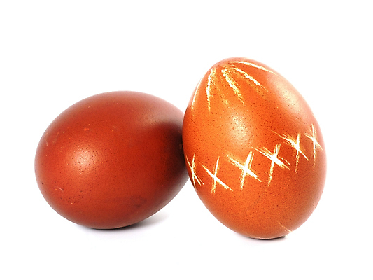 포토 JPG 해외이미지 전통 계절 꽃 문화 음식 2 휴가 부활절 사람없음 장식 계란 봄 껍질 축하 축복 아침식사 심볼 거베라 고립 삶기 취급주의 해외202004 해외포토 식물 기념일 컨셉 경고 알 식사 파일형식 이미지허브