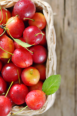 포토 JPG 해외이미지 음식 백그라운드 잎 농업 다이어트 과일 디저트 건강 사람없음 목재 빨간색 초록색 파란색 컬러풀 바구니 정원 보라색 수확 신선 체리 그룹 닫기 달콤 맛 오브젝트 유기농 원예 날것 광택 자두 흙더미 강렬 숙성 채식주의자 해외202004 해외포토 나무 식물 웰빙 산업 컬러 컨셉 재료 모션 취미 흙 채식 파일형식 더미 이미지허브