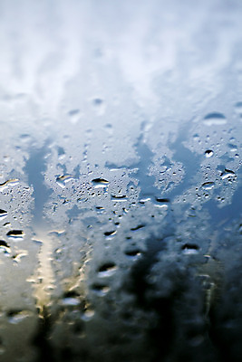 포토 JPG 해외이미지 식물 디자인 계절 꽃 백그라운드 잎 패턴 자연 아침 추상 건강 사람없음 초록색 물 환경 정원 어둠 놀람 봄 젖음 성장 흰색 물방울 신선 닫기 떨어짐 이슬 빗방울 먹기 묘사 질감 내추럴 해외202004 해외포토 주간 자연요소 감정 컬러 컨셉 무늬 모션 표정 비_날씨 생태계 파일형식 이미지허브