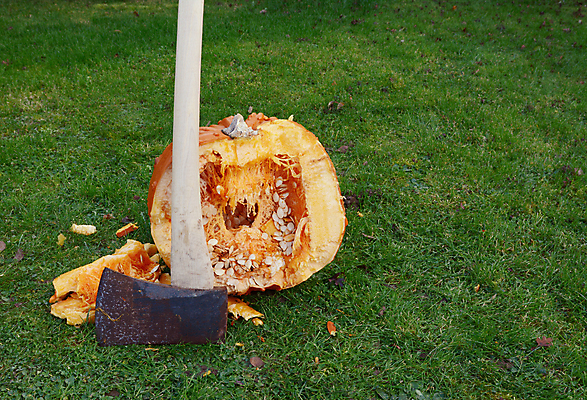 포토 JPG 해외이미지 음식 호박 육류 씨앗 잔디 사람없음 야외 손상 할로윈 공구 횡단보도 자르기 오브젝트 도끼 박 추수감사절 스쿼시 깨짐 단절 식용 카피스페이스 해외202004 해외포토 식물 기독교 스포츠 컨셉 채소 식재료 모션 구기 공백 도구 보행로 파일형식 이미지허브
