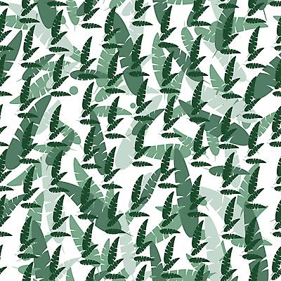 포토 JPG 해외이미지 나무 식물 디자인 계절 실루엣 백그라운드 단풍 낙엽 잎 꽃무늬 패턴 오렌지 일러스트 자연 포도 프레임 건조 사람없음 장식 빨간색 초록색 세트 컬러풀 갈색 노란색 검은색 가을 흰색 숲 9월 자작나무 10월 내추럴 고립 엘리먼트 해외202004 해외포토 꽃 컬러 무늬 과일 촬영기법 날짜 생태계 파일형식 이미지허브