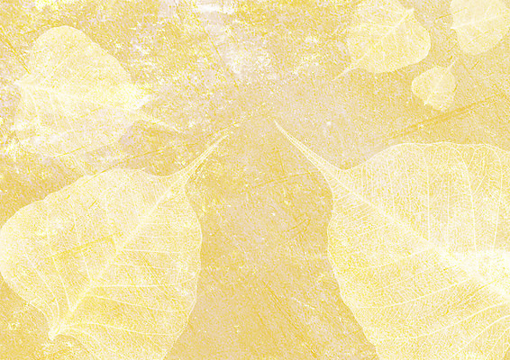 포토 JPG 해외이미지 모양 나무 식물 디자인 계절 실루엣 백그라운드 잎 꽃무늬 일러스트 자연 벽지 추상 사람없음 그래픽 장식 초록색 여름 환경 정원 봄 소용돌이 가을 신선 신용카드 투명 숲 묘사 에코 유기농 질감 정맥 내추럴 고립 그런지 생태학 해외202004 해외포토 웰빙 교육 꽃 컬러 무늬 촬영기법 금융 회오리 생태계 혈관 파일형식 이미지허브