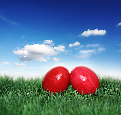 포토 JPG 해외이미지 전통 디자인 계절 꽃 행복 기독교 종교 음식 백그라운드 꽃무늬 패턴 자연 휴가 부활절 창조 선물 사람없음 장식 빨간색 초록색 컬러풀 계란 페인트 놀람 봄 흰색 축하 토끼 둥지 4월 수집 심볼 고립 해외202004 해외포토 식물 기념일 감정 컬러 컨셉 무늬 포유류 표정 반려동물 알 날짜 생태계 파일형식 이미지허브