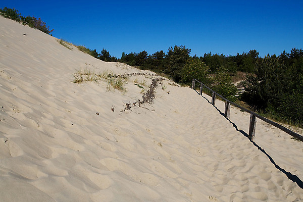 포토 JPG 해외이미지 나무 공원 유럽 길 모래 여행 자연 하늘 국립공원 풍경 사람없음 야외 목재 초록색 여름 파란색 울타리 노란색 침묵 소나무 보행자 가장자리 고독 보호 발자국 오솔길 모래언덕 부식 휴양지 장면 해외202004 해외포토 식물 계절 공공시설 감정 나라 컬러 컨셉 재료 자국 담장 소리 장소 둘레 언덕 생태계 파일형식 이미지허브