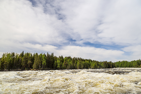 포토 JPG 해외이미지 나무 구름 하늘 스웨덴 사람없음 물 여름 파란색 강 흐름 급류 해외202004 해외포토 자연요소 식물 계절 컬러 컨셉 북유럽 파일형식 이미지허브